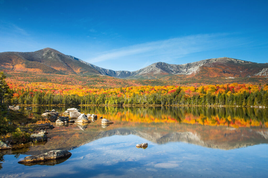 Mt. Katahdin Maine Pine Hill German Shepherds