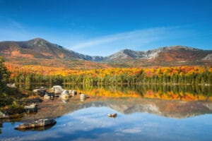 Mt. Katahdin Maine Pine Hill German Shepherds