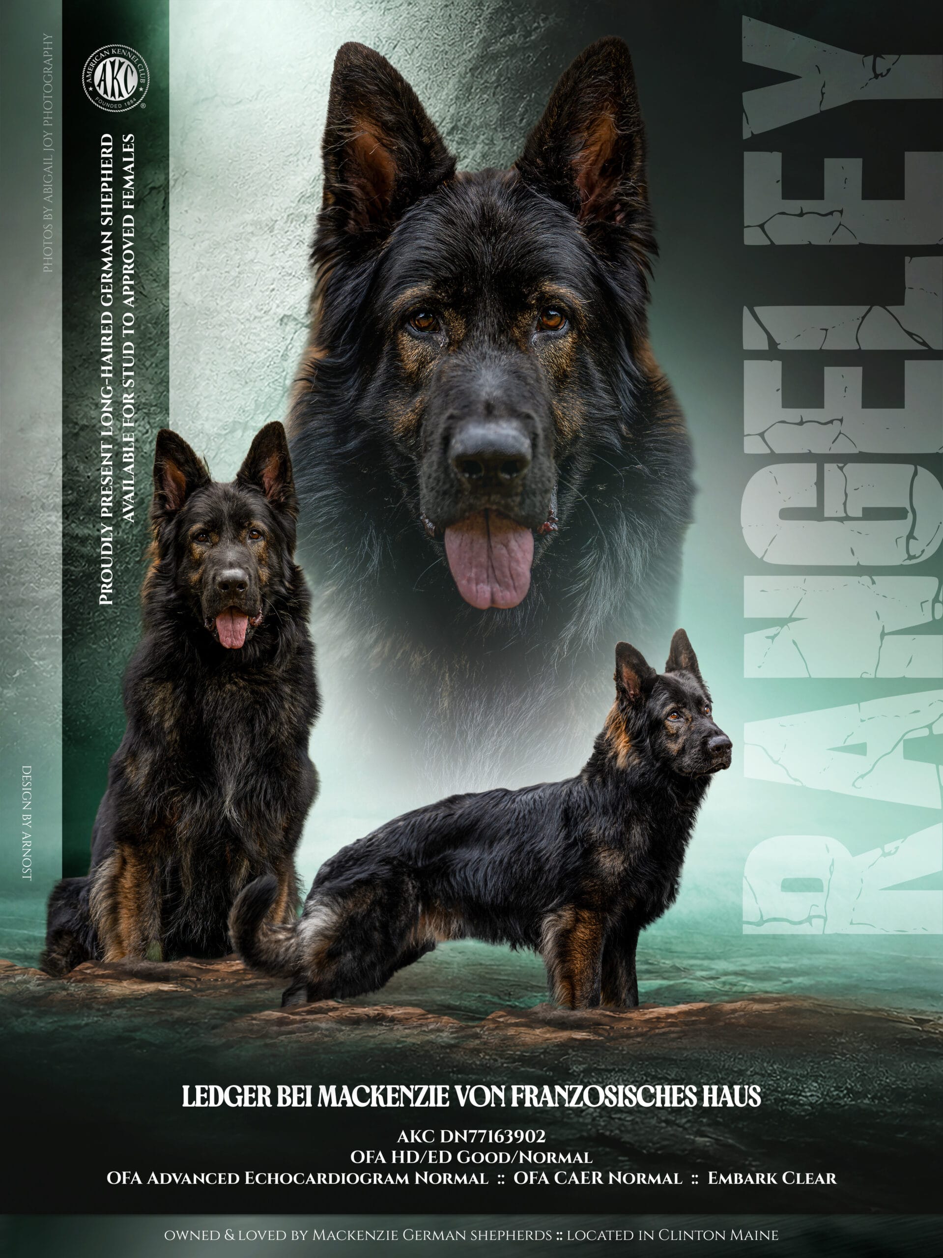 Maine German Shepherd breeders
